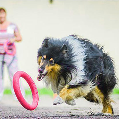ActiveRing: Anello da Lancio per Addestramento Cani
