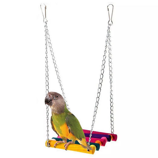Bird Swing: Altalena colorata per uccelli