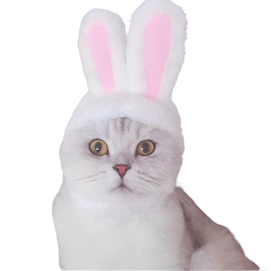 BunnyHop: Cappello a Forma di Coniglio per Gatti e Cani di Piccola Taglia